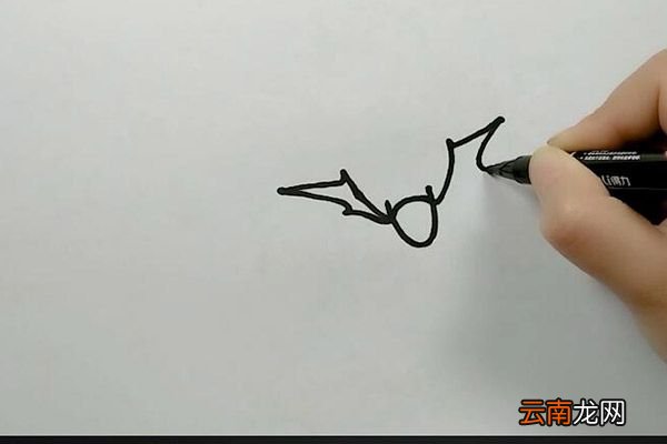 蝙蝠简笔画 蝙蝠怎么画
