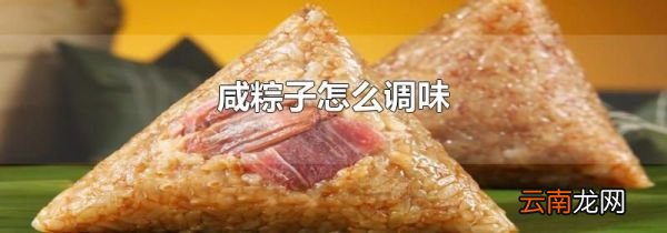 咸粽子怎么调味