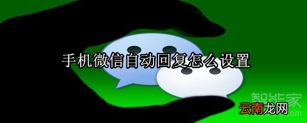手机微信自动回复怎么设置