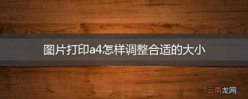 图片打印a4怎样调整合适的大小