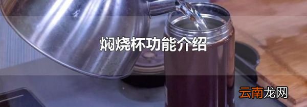 焖烧杯功能介绍