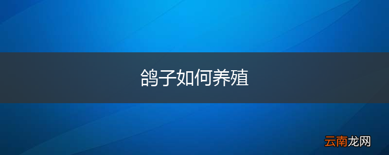 鸽子如何养殖