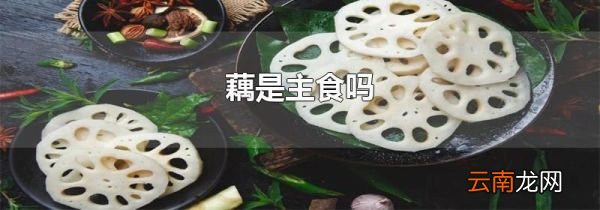 藕是主食吗