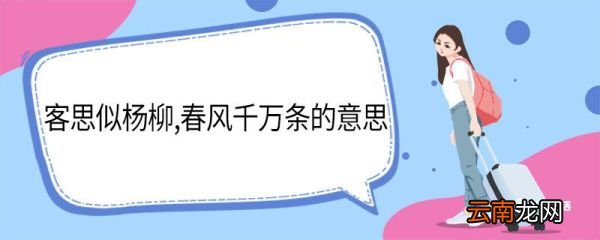 客思似杨柳春风千万条的意思 客思似杨柳春风千万条翻译