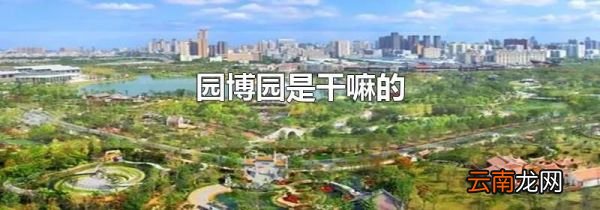 园博园是干嘛的