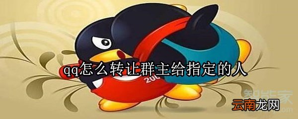 qq怎么转让群主给指定的人