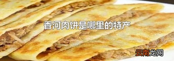 香河肉饼是哪里的特产