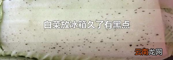 白菜放冰箱久了有黑点