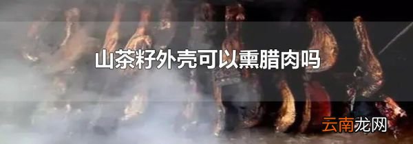 山茶籽外壳可以熏腊肉吗