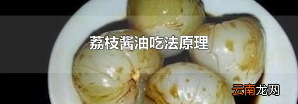 荔枝酱油吃法原理