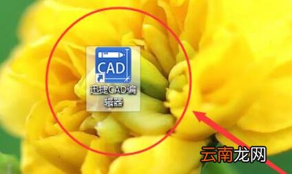 迅捷CAD编辑器设置CAD图纸旋转角度的详细操作过程
