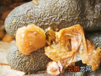 白果皮怎么去掉
