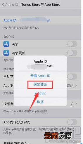 iPhone怎么查询APP下载记录？苹果手机下载记录查询教程