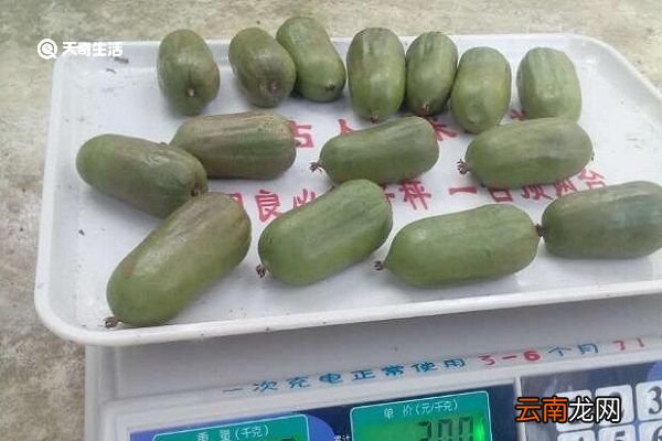 狗枣子的功效与作用 狗枣子主要有什么功效