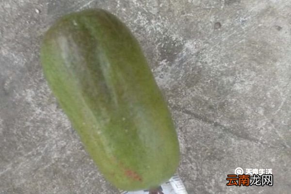 狗枣子的功效与作用 狗枣子主要有什么功效