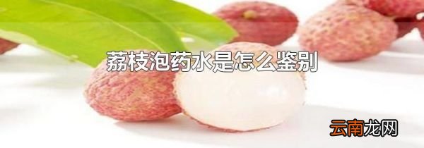 荔枝泡药水是怎么鉴别