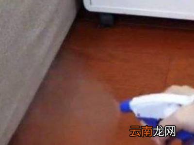 怎么杀跳蚤