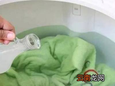 怎么杀跳蚤
