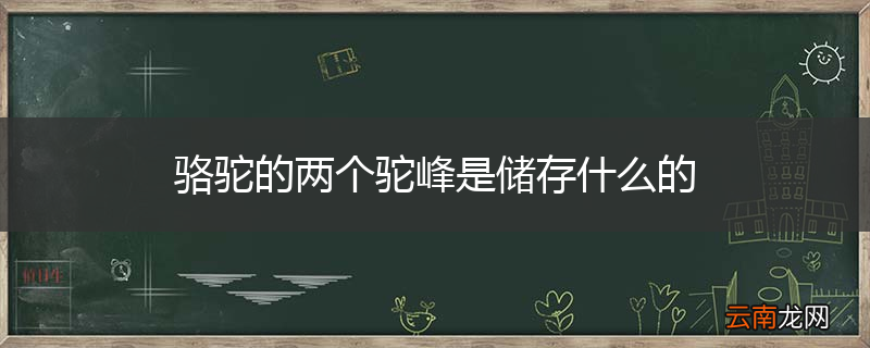 骆驼的两个驼峰是储存什么的