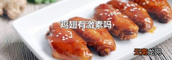 鸡翅有激素吗