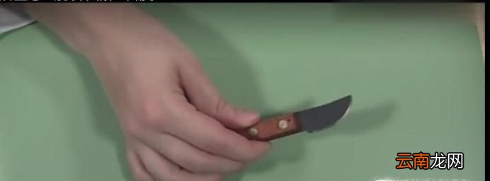 如何在没有专业工具的情况下打开手表后盖
