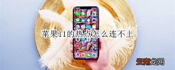 苹果11的热点怎么连不上
