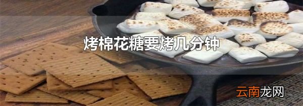 烤棉花糖要烤几分钟