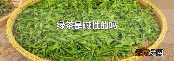 绿茶是碱性的吗