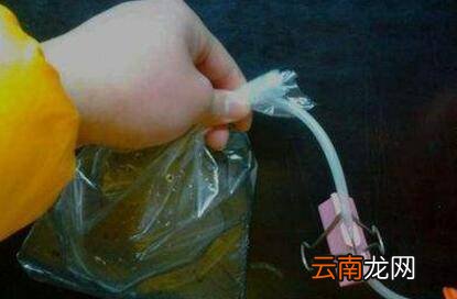 虾怎么保存到第二天