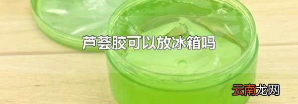 芦荟胶可以放冰箱吗