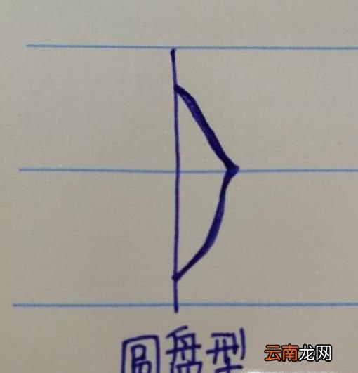 从侧面观察，乳房的形状分为6种