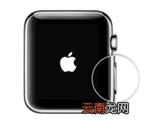 apple watch怎么开机