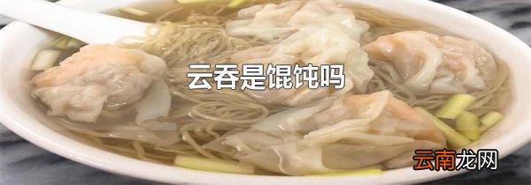 云吞是馄饨吗