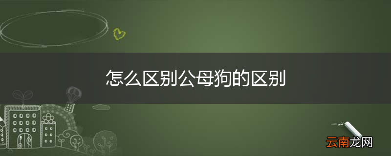 怎么区别公母狗的区别