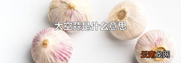 太空蒜是什么意思