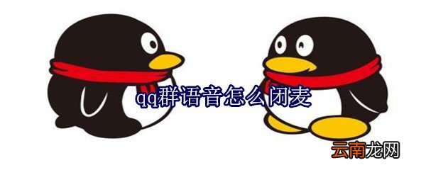 qq群语音怎么闭麦