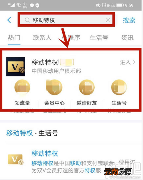 支付宝如何退出移动特权双v会员尊享权益？