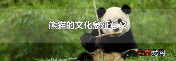 熊猫的文化象征意义