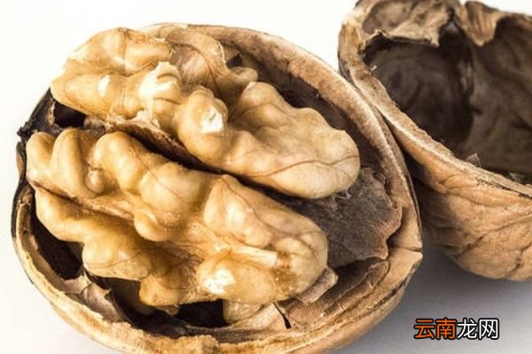 核桃皮的功效与作用 吃核桃皮有什么好处