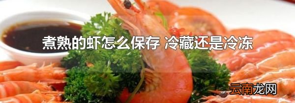 煮熟的虾怎么保存 冷藏还是冷冻