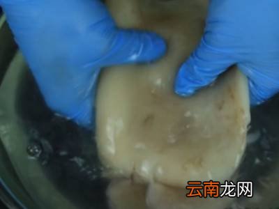 鱿鱼怎么处理方法