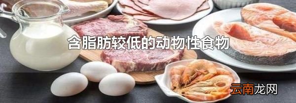 含脂肪较低的动物性食物