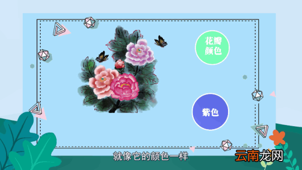 牡丹花语 牡丹花语是什么