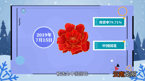 牡丹花语 牡丹花语是什么