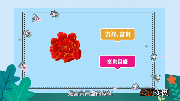 牡丹花语 牡丹花语是什么