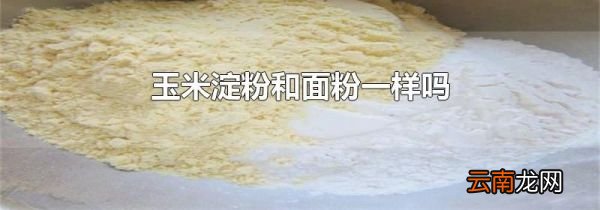 玉米淀粉和面粉一样吗