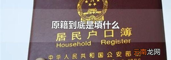 原籍到底是填什么