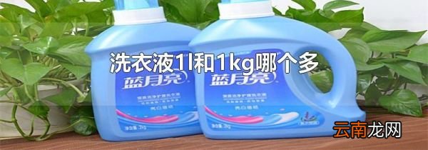 洗衣液1l和1kg哪个多