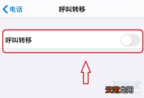 ios13语音留言怎么关闭