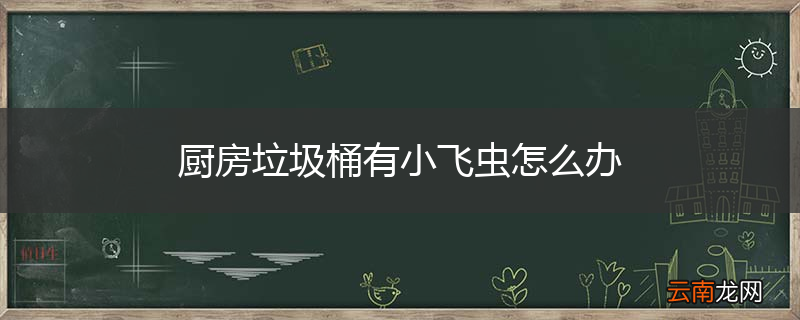 厨房垃圾桶有小飞虫怎么办